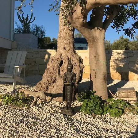 La Casa Bianca Bed & Breakfast
